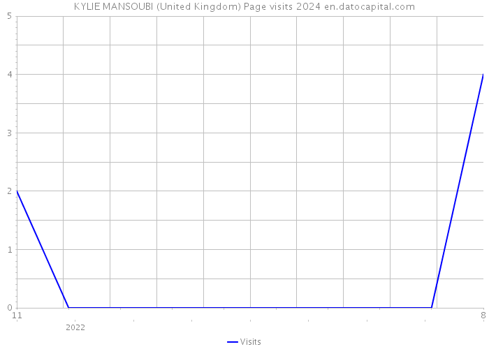 KYLIE MANSOUBI (United Kingdom) Page visits 2024 
