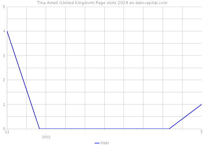 Tina Ameli (United Kingdom) Page visits 2024 