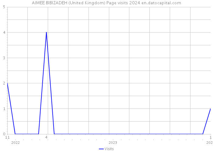 AIMEE BIBIZADEH (United Kingdom) Page visits 2024 