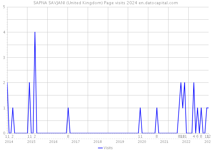 SAPNA SAVJANI (United Kingdom) Page visits 2024 