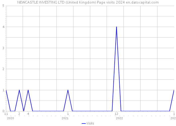 NEWCASTLE INVESTING LTD (United Kingdom) Page visits 2024 