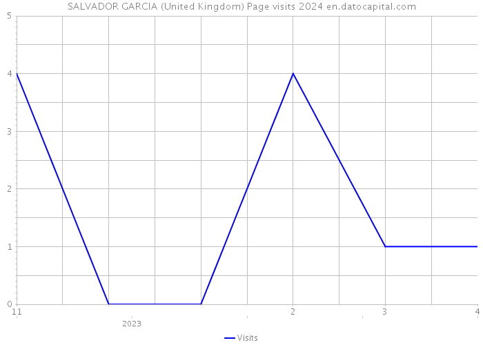 SALVADOR GARCIA (United Kingdom) Page visits 2024 