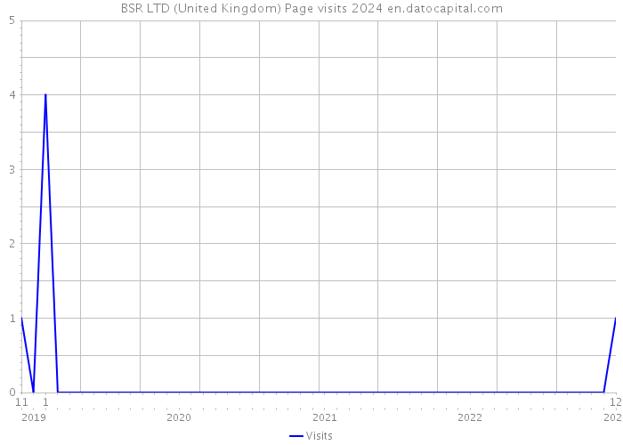 BSR LTD (United Kingdom) Page visits 2024 