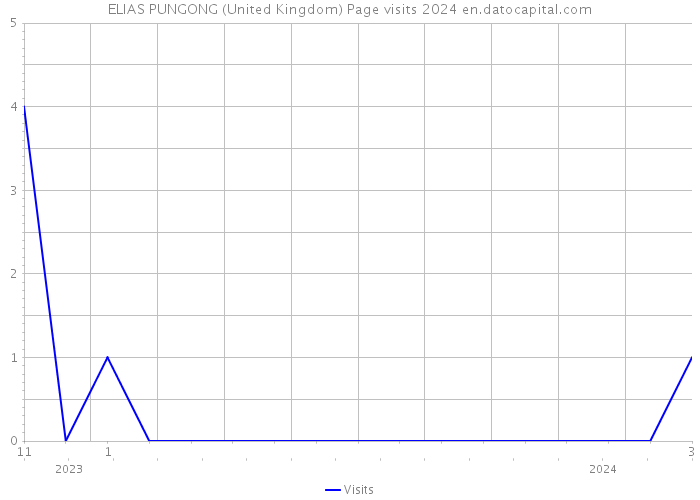 ELIAS PUNGONG (United Kingdom) Page visits 2024 