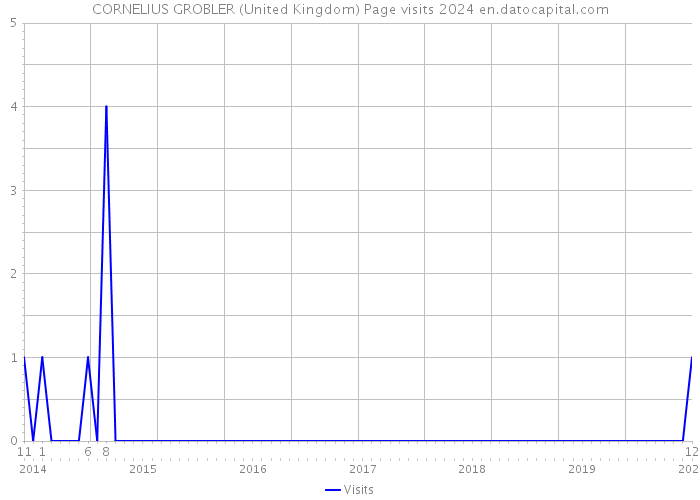 CORNELIUS GROBLER (United Kingdom) Page visits 2024 