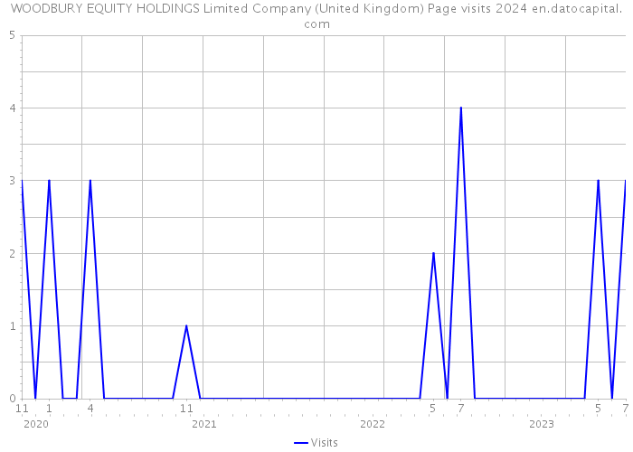 WOODBURY EQUITY HOLDINGS Limited Company (United Kingdom) Page visits 2024 