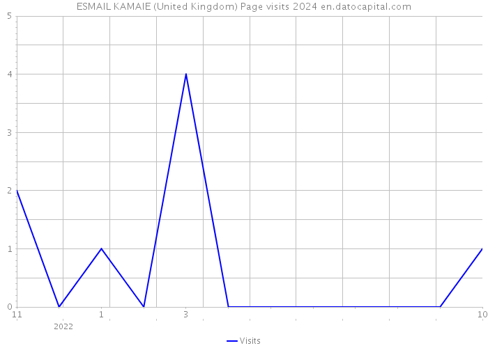 ESMAIL KAMAIE (United Kingdom) Page visits 2024 