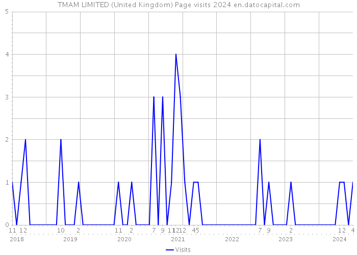 TMAM LIMITED (United Kingdom) Page visits 2024 