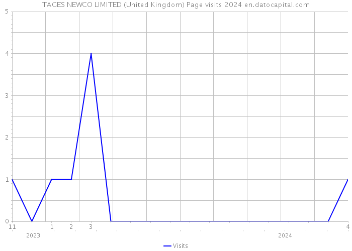 TAGES NEWCO LIMITED (United Kingdom) Page visits 2024 