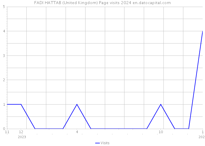 FADI HATTAB (United Kingdom) Page visits 2024 