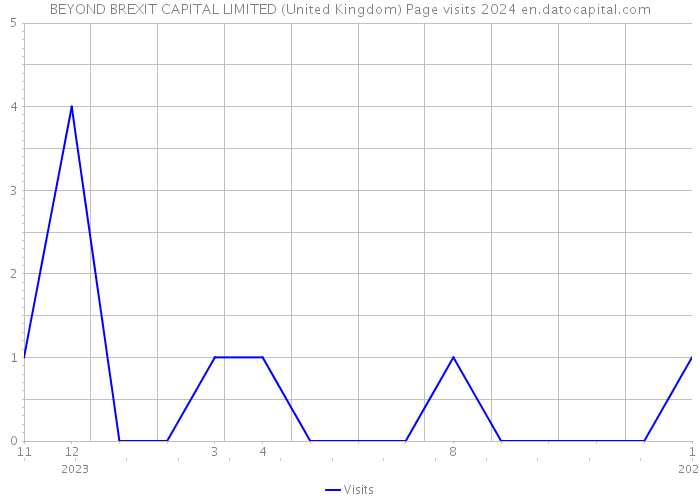 BEYOND BREXIT CAPITAL LIMITED (United Kingdom) Page visits 2024 