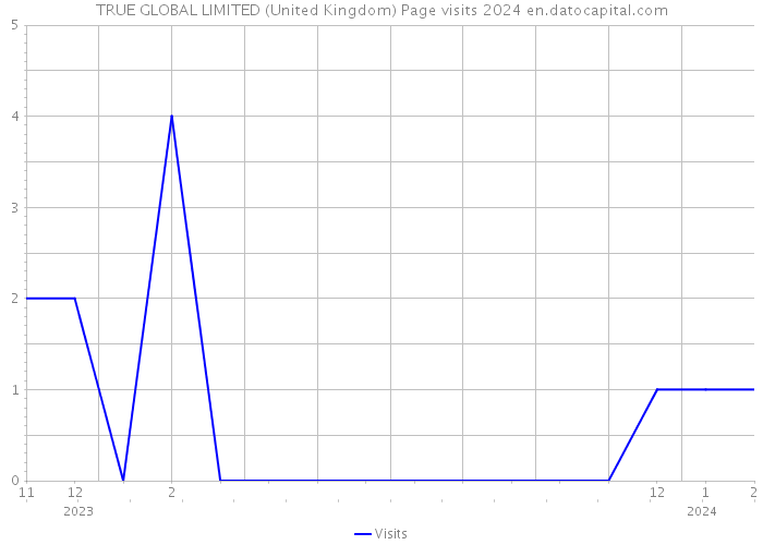 TRUE GLOBAL LIMITED (United Kingdom) Page visits 2024 
