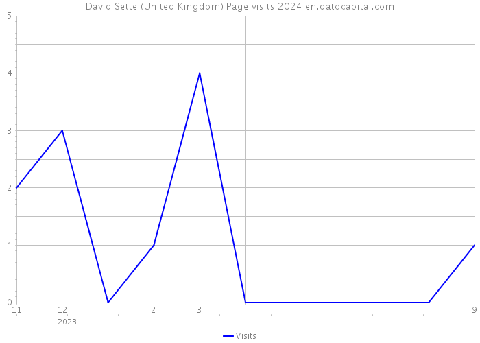David Sette (United Kingdom) Page visits 2024 