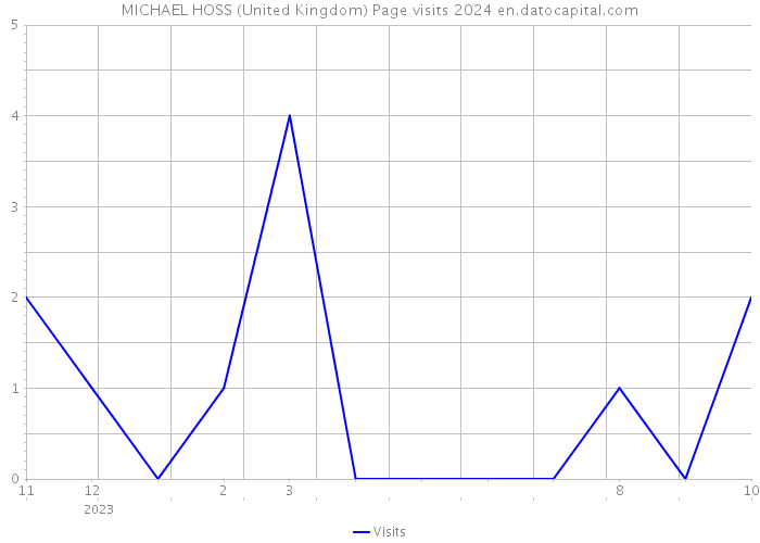 MICHAEL HOSS (United Kingdom) Page visits 2024 