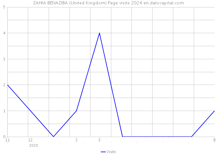ZAHIA BENAZIBA (United Kingdom) Page visits 2024 