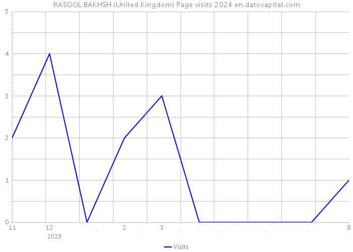 RASOOL BAKHSH (United Kingdom) Page visits 2024 