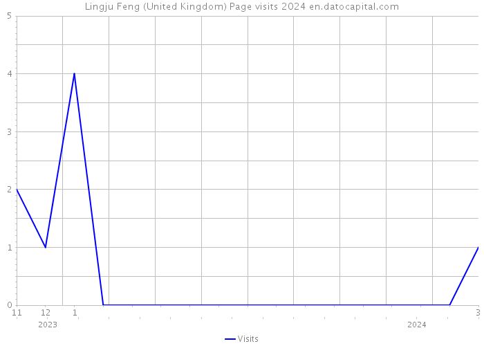 Lingju Feng (United Kingdom) Page visits 2024 