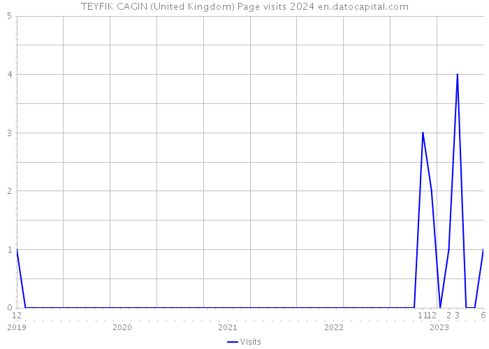 TEYFIK CAGIN (United Kingdom) Page visits 2024 
