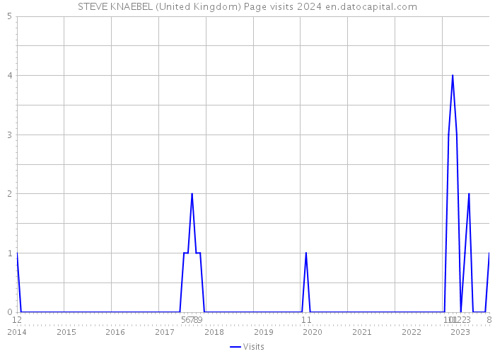 STEVE KNAEBEL (United Kingdom) Page visits 2024 