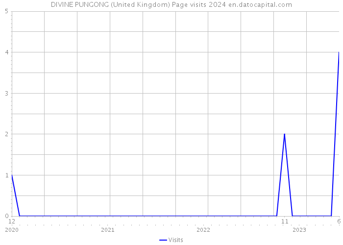 DIVINE PUNGONG (United Kingdom) Page visits 2024 