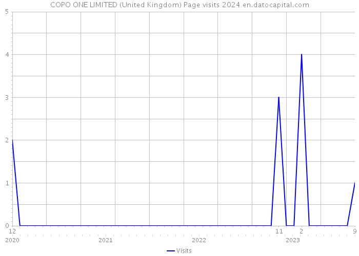 COPO ONE LIMITED (United Kingdom) Page visits 2024 