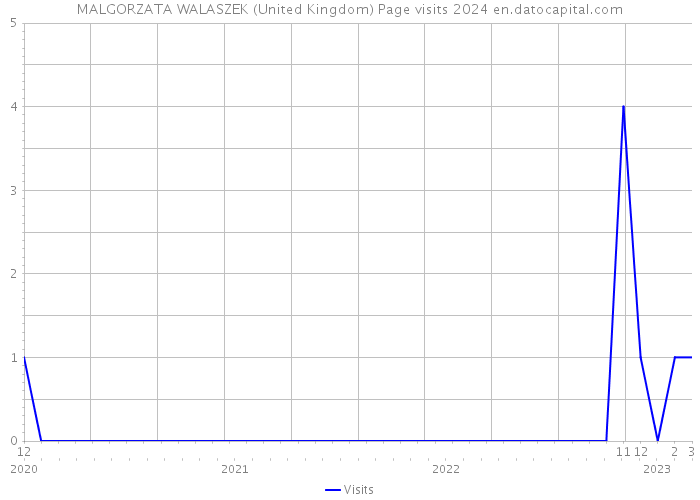 MALGORZATA WALASZEK (United Kingdom) Page visits 2024 