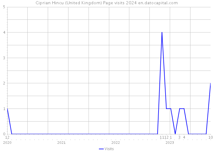 Ciprian Hincu (United Kingdom) Page visits 2024 