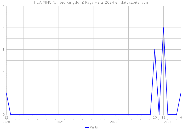 HUA XING (United Kingdom) Page visits 2024 