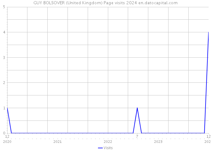 GUY BOLSOVER (United Kingdom) Page visits 2024 
