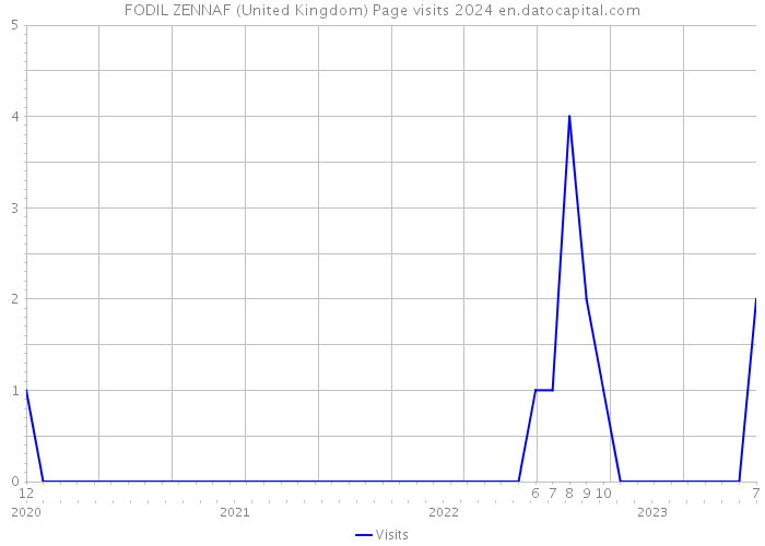 FODIL ZENNAF (United Kingdom) Page visits 2024 