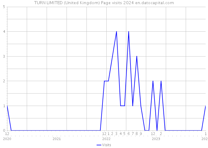 TURN LIMITED (United Kingdom) Page visits 2024 