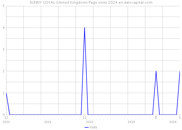 SUNNY GOYAL (United Kingdom) Page visits 2024 