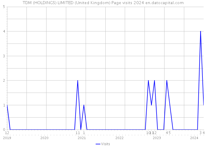 TDM (HOLDINGS) LIMITED (United Kingdom) Page visits 2024 