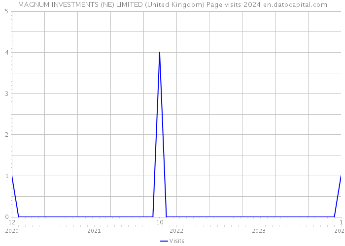 MAGNUM INVESTMENTS (NE) LIMITED (United Kingdom) Page visits 2024 