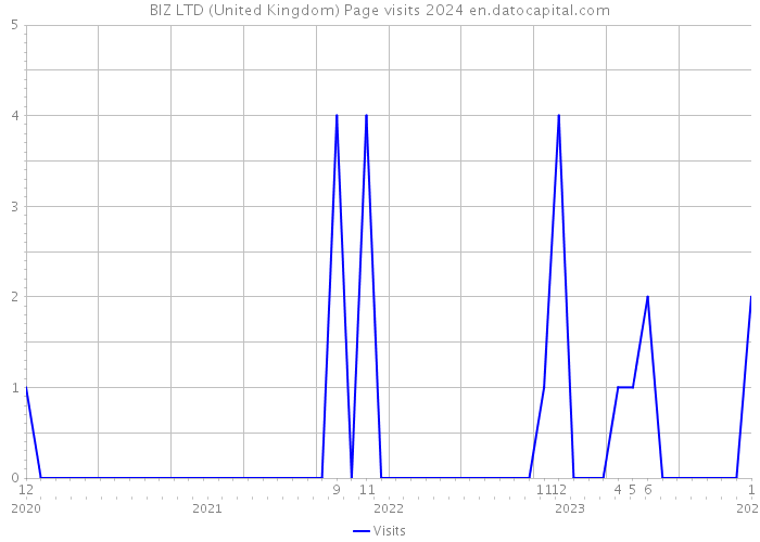 BIZ LTD (United Kingdom) Page visits 2024 