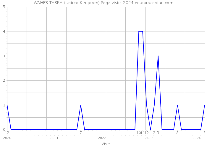 WAHEB TABRA (United Kingdom) Page visits 2024 