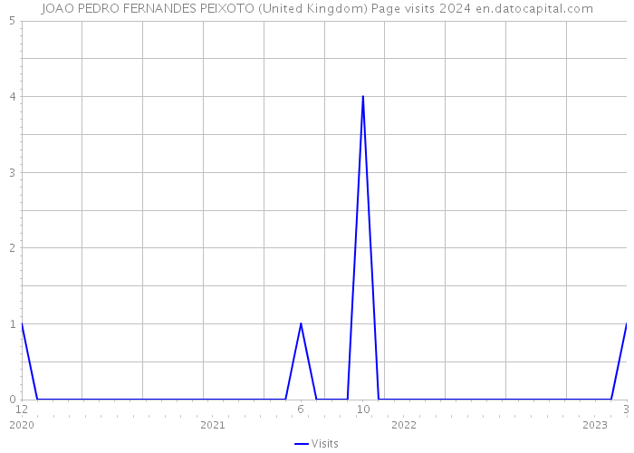 JOAO PEDRO FERNANDES PEIXOTO (United Kingdom) Page visits 2024 