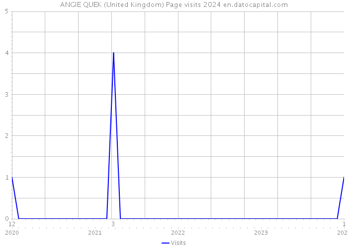 ANGIE QUEK (United Kingdom) Page visits 2024 