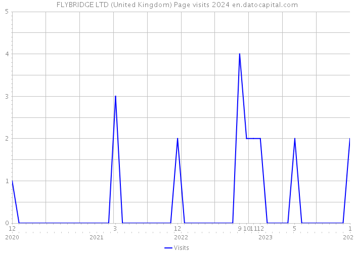 FLYBRIDGE LTD (United Kingdom) Page visits 2024 