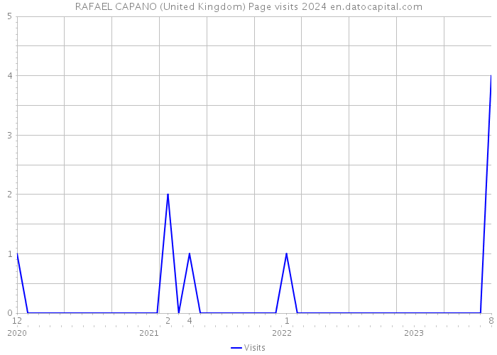 RAFAEL CAPANO (United Kingdom) Page visits 2024 
