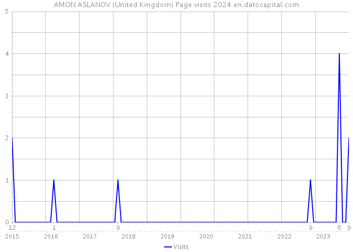 AMON ASLANOV (United Kingdom) Page visits 2024 