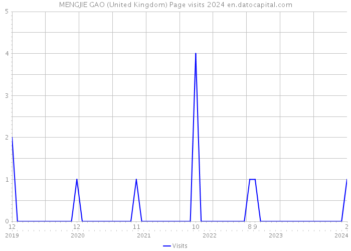 MENGJIE GAO (United Kingdom) Page visits 2024 