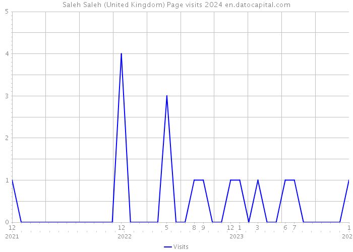 Saleh Saleh (United Kingdom) Page visits 2024 
