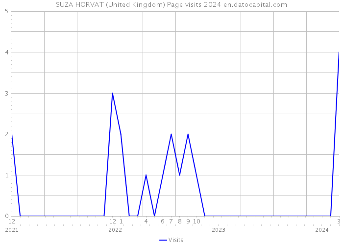 SUZA HORVAT (United Kingdom) Page visits 2024 