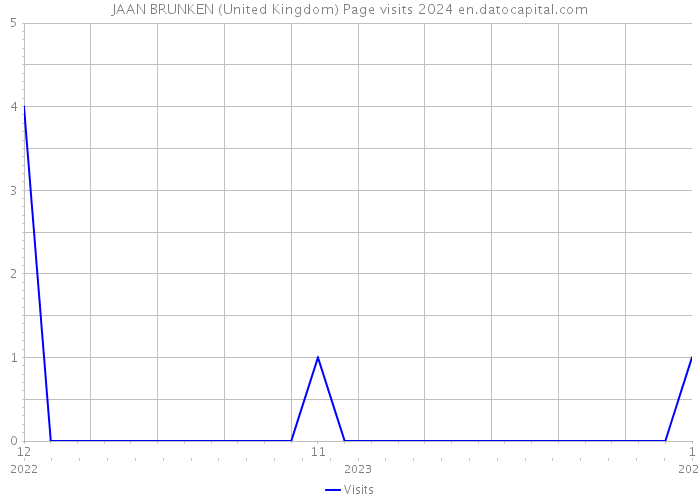 JAAN BRUNKEN (United Kingdom) Page visits 2024 