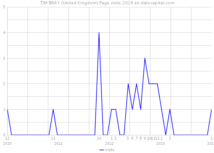 TIM BRAY (United Kingdom) Page visits 2024 