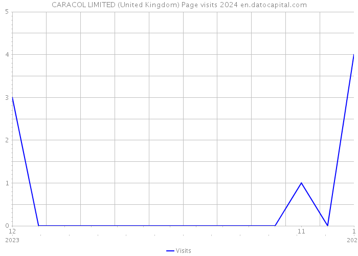CARACOL LIMITED (United Kingdom) Page visits 2024 