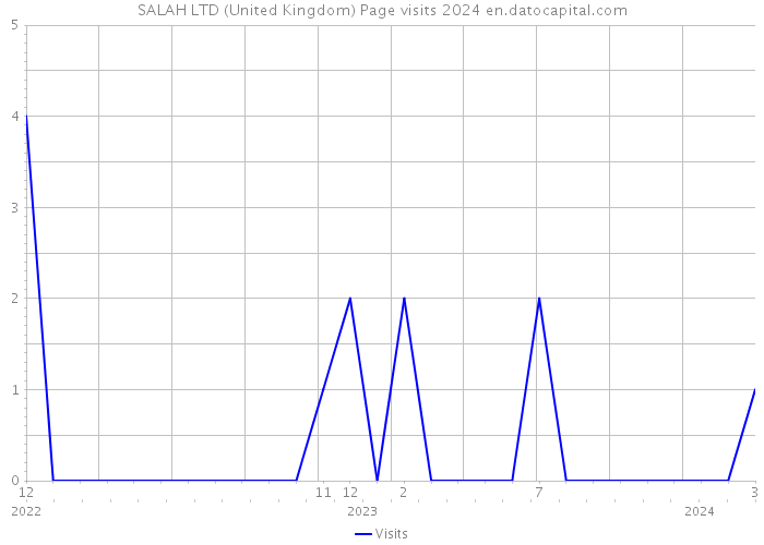 SALAH LTD (United Kingdom) Page visits 2024 