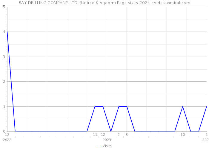 BAY DRILLING COMPANY LTD. (United Kingdom) Page visits 2024 