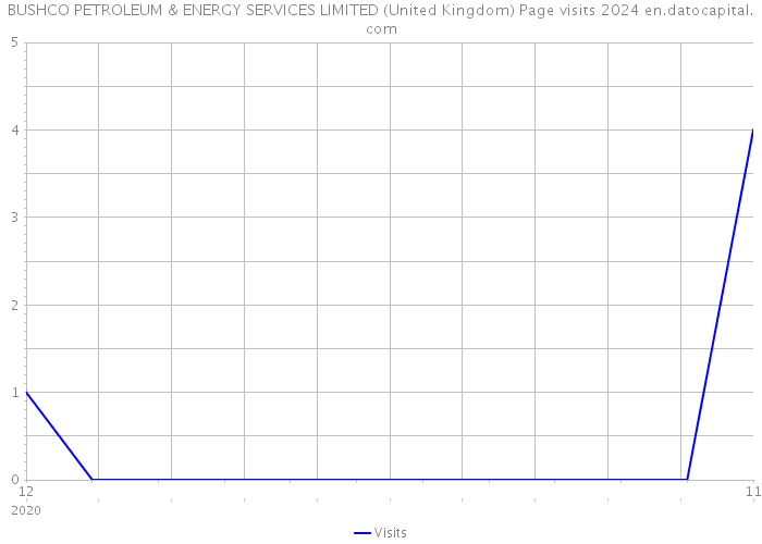 BUSHCO PETROLEUM & ENERGY SERVICES LIMITED (United Kingdom) Page visits 2024 